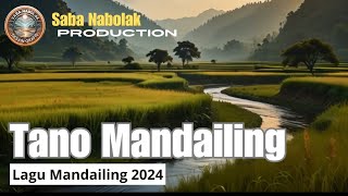 Lagu Mandailing Terbaru 2024 Tano Mandailing [upl. by Navlys]