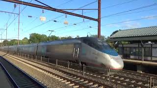 Amtrak Acela Train at Croydon Station [upl. by Cadell]