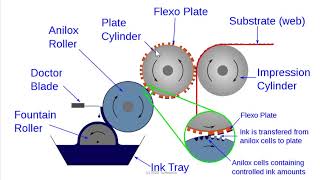 Flexography  Basic Introduction [upl. by Mor]