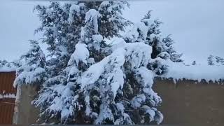 Ziarat Snowfall 2020 2021  heavy snowfall in Ziarat Balochistan Pakistan [upl. by Akirej829]