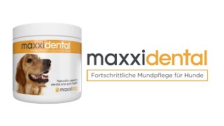 maxxidental Fortschrittliche Mundpflege für Hunde [upl. by Silrac310]