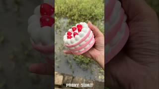 Fake Cake Prank In Dadi 🍰😂 New Viral Gadgets Smart Appliances Kitchen Utensils Home Inventions [upl. by Petras282]