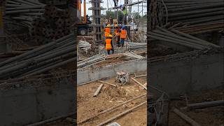 Plinth Columns  Group columns construction work  project construction shorts yt [upl. by Ahtamas]