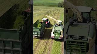 🚜 Krone Combine amp Massey Ferguson Tractor Team Up 🌾 Epic Silage Collection [upl. by Haraz843]