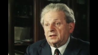 Levinas on the Face [upl. by Ylicic]