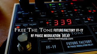 Free The Tone FF1Y Future Factory RF Phase Modulation Delay [upl. by Kinna]