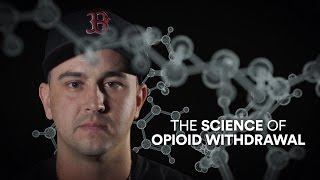 The science of opioid withdrawal [upl. by Nosrac]