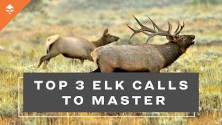 Top 3 Elk Calls To Master [upl. by Alla]