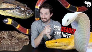 5 Deadly Pet Snakes 10 NonDeadly Alternatives [upl. by Nysa569]