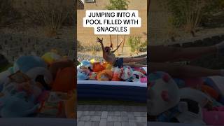 JUMPING INTO A POOL FILLED WITH SNACKLES snackles snapupasnackle huntthemall newplushalert [upl. by Irelav]