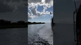 Fastest airboat in miami [upl. by Gladdy]