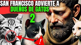 ¡LO QUE SAN FRANCISCO PREDIJO PARA LOS DUEÑOS DE GATOS UNA VEZ MÁS  ¡DESCÚBRELO AHORA [upl. by Cinom589]