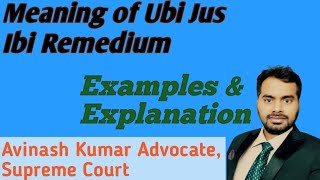 Meaning of Ubi Jus Ibi Remedium Examples amp Explanation [upl. by Ellimak765]