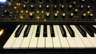 ARP Odyssey vs Moog Sub37 vs Korg Prologue Bass DnB [upl. by Lietman]