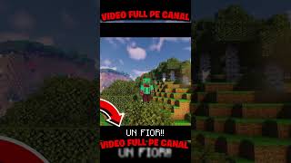 minecraft minecraftromania gaming newtimes [upl. by Marcie365]