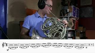 French Horn Technique 31 Movements combined 2 [upl. by Mihar101]