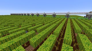 Feasible Melon Based Bone Meal Farm [upl. by Meisel]