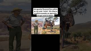 Um guarda florestal fica pálido ao ver este quotninhoquot Ele chama a polícia trending news youtube [upl. by Ylek305]