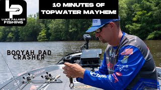 10 Minutes Of Topwater Mayhem [upl. by Kensell]