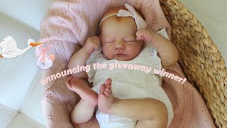 Announcing the Reborn Baby Giveaway Winner  Sophias Reborns [upl. by Rettuc]