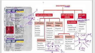 Amoxicillin  Azithromycin  Ciprofloxacin  Cefpodoxime  Moxifloxacin  Cotrimazole  Mechanism [upl. by Chatav]