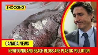 SHOCKING Newfoundland beach blobs are plastic pollution Latest Canada News At CTV News [upl. by Chrisman661]