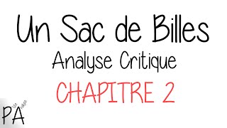 Un Sac De Billes  Analyse Critique Chapitre 2 [upl. by Haimarej]