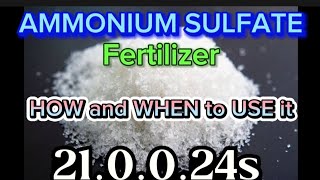 AMMONIUM SULFATE FERTILIZER  How and When to use it  210024s [upl. by Wichern]