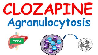 Clozapine and agranulocytosis [upl. by Ahsoem34]