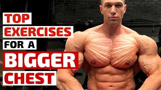 Top Trainers Agree These Are the Best Exercises for Building a Bigger Chest [upl. by Cirle397]