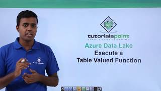 Execute a Table Valued Function [upl. by Redienhcs]