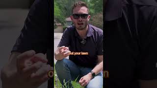 How to Get Rid of Foxtail Weeds [upl. by Ytissahc]