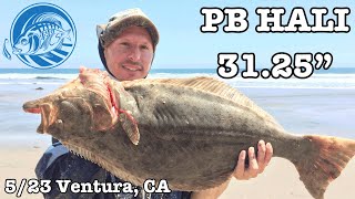 EP25 PB Halibut 3125quot  Vince Goes Fishing [upl. by Irrehc]