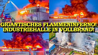 GIGANTISCHES FLAMMENINFERNO  INDUSTRIEHALLE IN VOLLBRAND  METERHOHE FLAMMEN  FEUERWEHR [upl. by Inaffets]