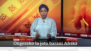 Matangazo ya Dira ya Dunia TV [upl. by Giliana]