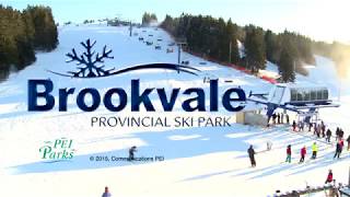 Brookvale Provincial Ski Park [upl. by Nainatrad348]