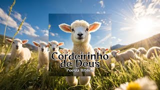 CLIPZINHO  CORDEIRINHO DE DEUS poesiabiblicaoficial [upl. by Rodgiva54]