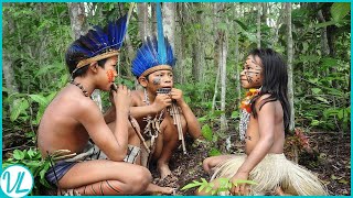 This Is How Tribes In The Amazon Rainforest Live [upl. by Eseryt]