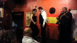 La Taverna Giralda Coral Gables Florida  Tapas Wine amp Flamenco Dancer  Spanish Restaurant Miami [upl. by Niraa]