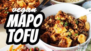 VEGAN MAPO TOFU RECIPE  Marys Test Kitchen [upl. by Alasteir400]