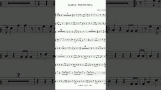 Gaita Frenética Sonora Dinamita [upl. by Gallenz659]