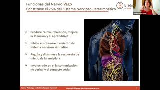 El Nervio Vago la Teoría Polyvagal y nuestro Bienestar [upl. by Ahgem]