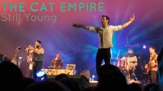 The Cat Empire — Still Young WOMADelaide2013 [upl. by Nollahs]