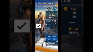 Blue calico bass ⭐⭐ fishing sorts gameplay fishingvideo youtubeshorts viralvideo [upl. by Artkele414]