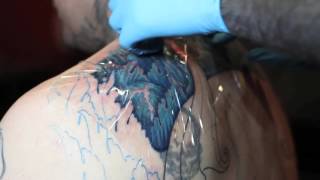 How to Care for a New Tattoo using Saniderm [upl. by Xila]