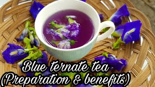 Blue Ternate Tea  Clitoria Ternatea Tea  Blue butterfly flower tea  Benifits and Tea preparation [upl. by Rondon]