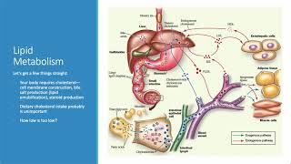 Dyslipidemia and Atherosclerosis [upl. by Ilah]