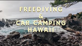 Aquatic Monkey does Hawaii  Car camping amp diving on Kona the Big Island [upl. by Trix15]