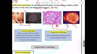 General Pathology  Intro to Pathology and Cell Injury  Mutah [upl. by Anelet197]