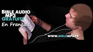 Bible audio  Les Psaumes Partie 3  Du 41è au 60è  Bible MP3 en Français [upl. by Modnarb]